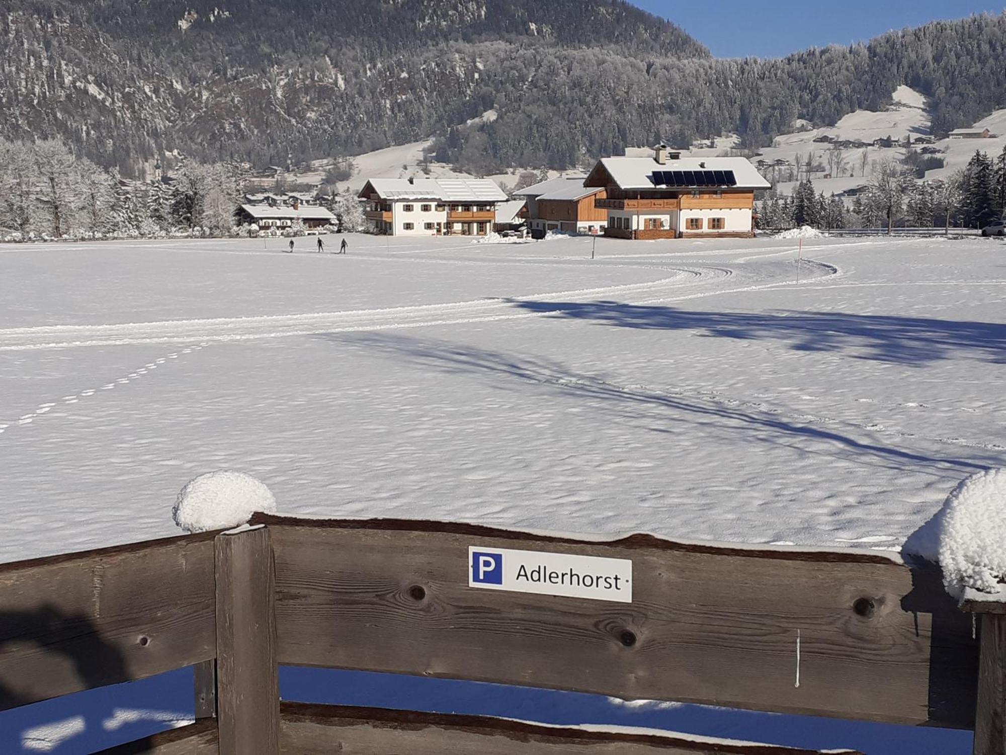 Ferienwohnung Adlerhorst Im Haus Lohrey Reit im Winkl Extérieur photo